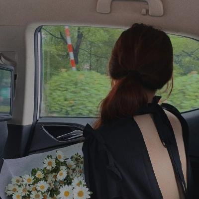 傻瓜行花运